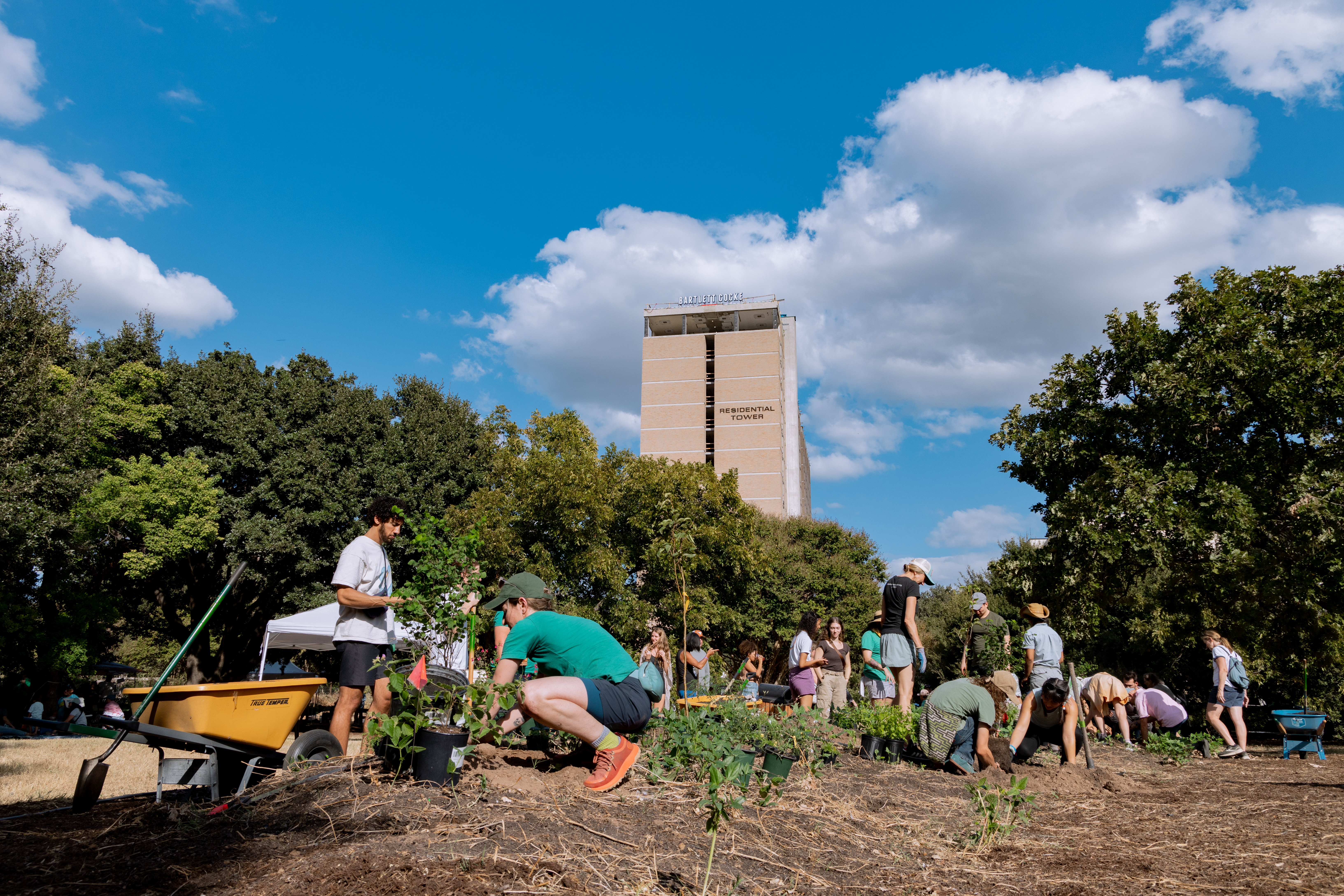 Festival Beach Food Forest Tree Planting